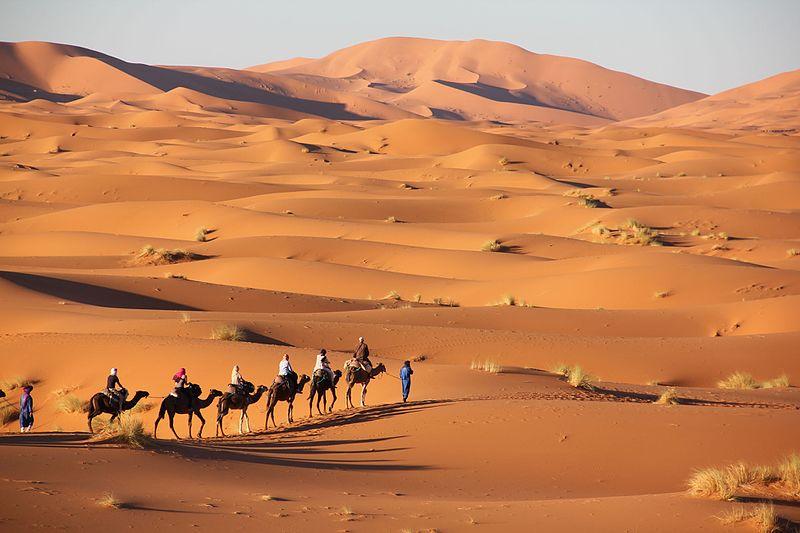 merzouga sahara desert