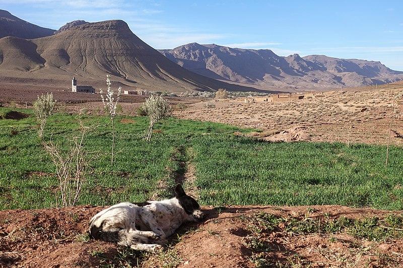 saghro maroc