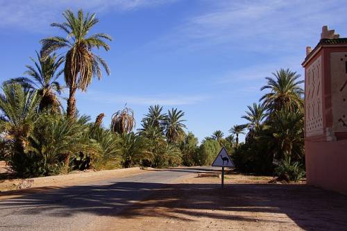 Maroc Siyaha voyage ville M'Hamid, M'Hamid, Maroc : Guide Complet pour Votre Visite